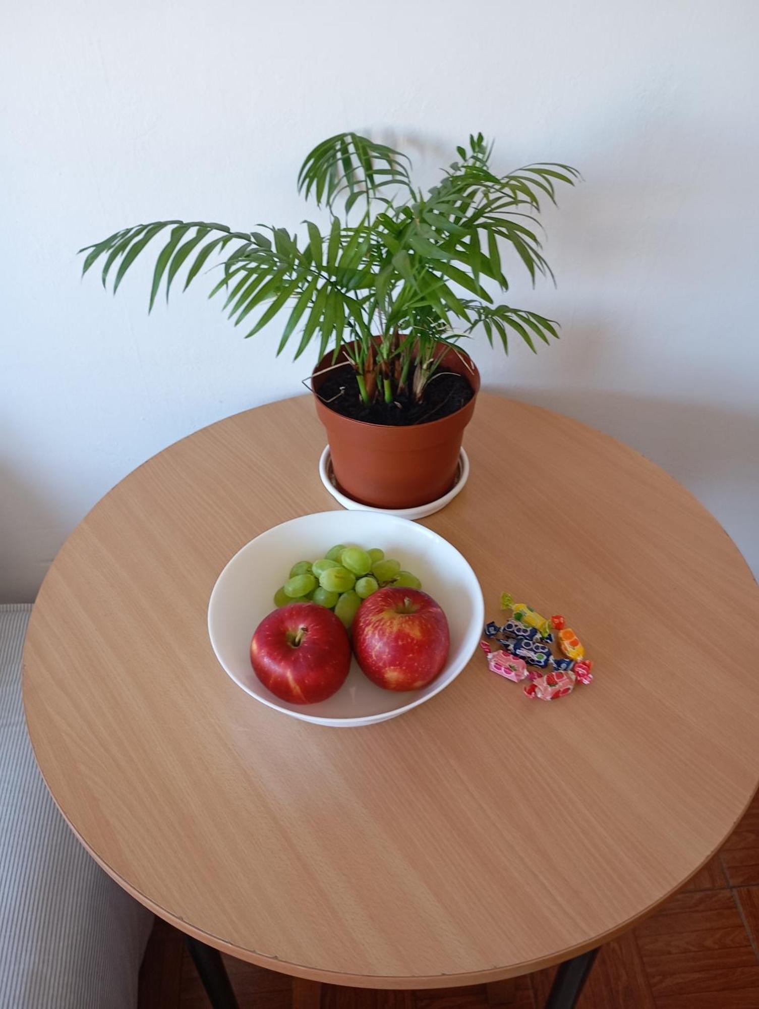 Family Shared House Homestay