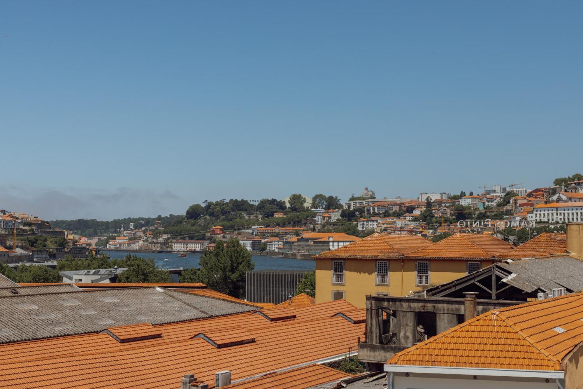 Douro Panoramic Views By Vacationy Apartment