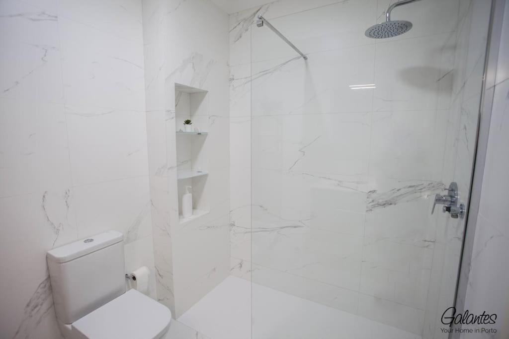 Downtown Spacious Flat In A Calm Street Porto
