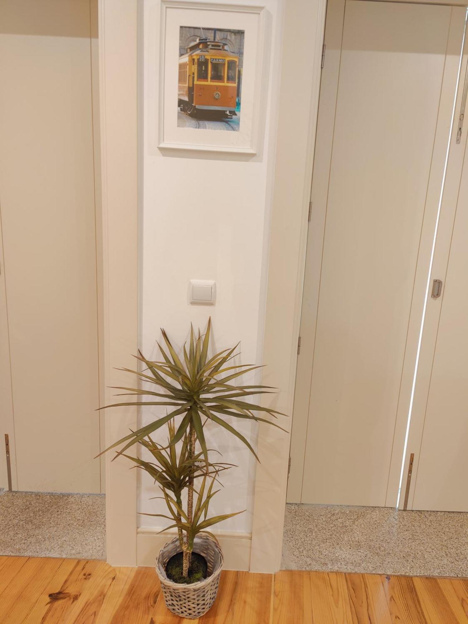Premium Downtown - Bonjardim Apartment *