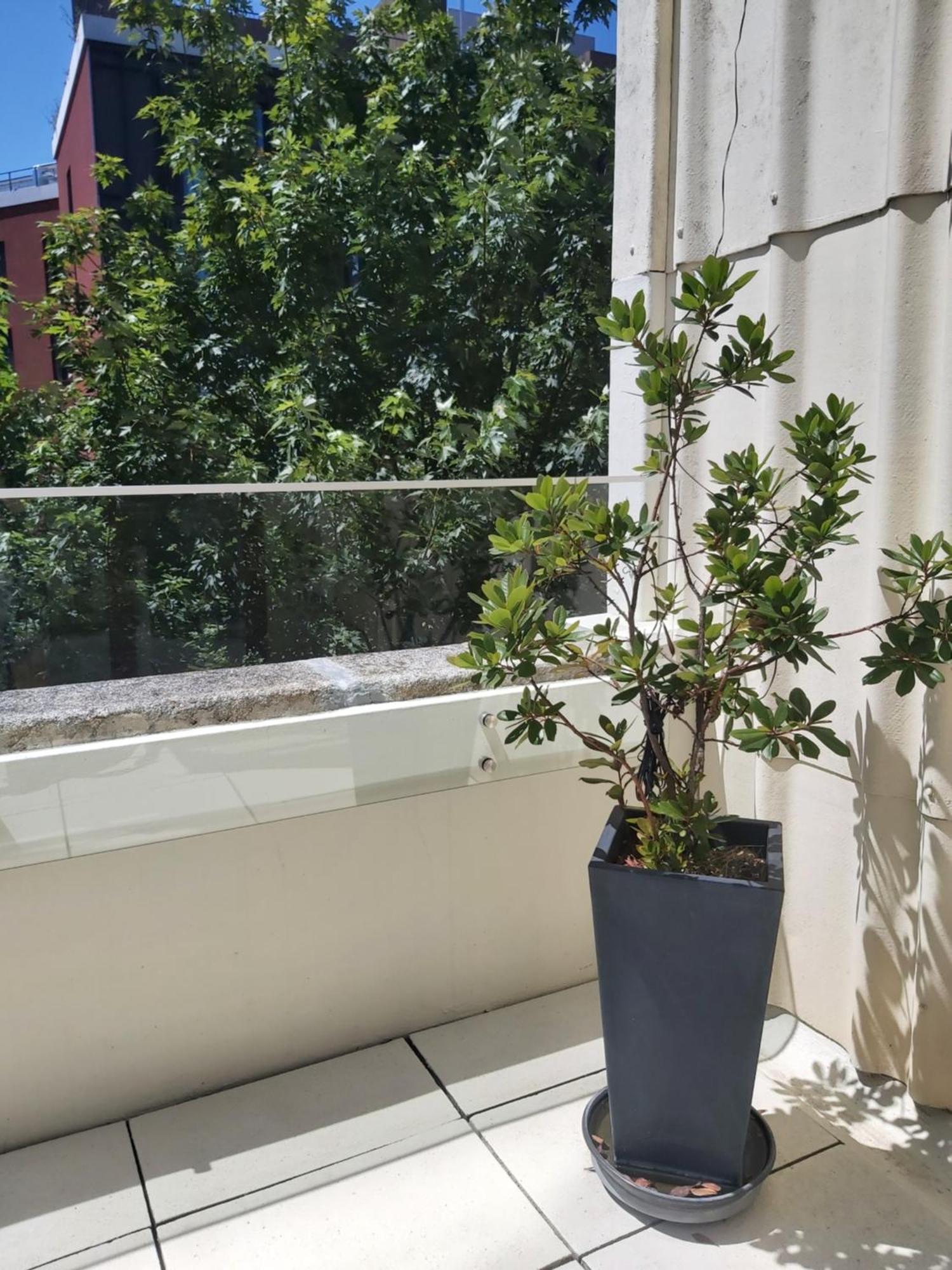 Terrace Apartment Porto