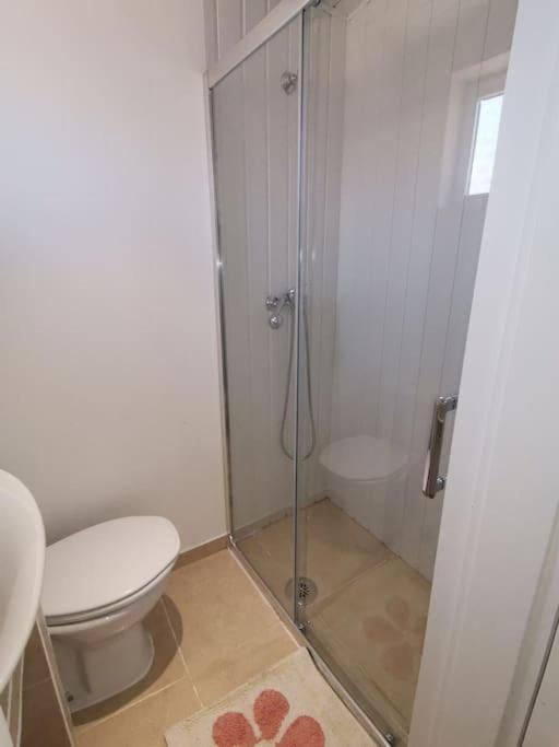 Casa Cadu - Apartamento Porto