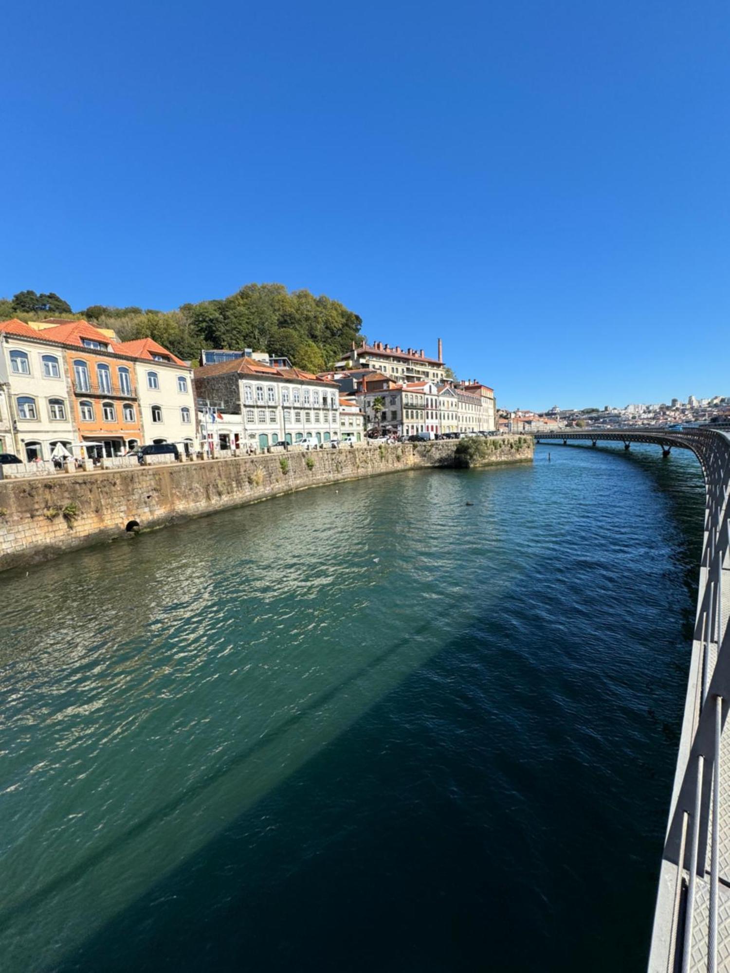 Amazing Premium Douro River Views