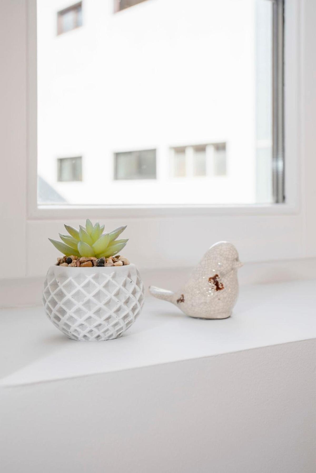Apartment Liiiving In - Alma De Santa Catarina *