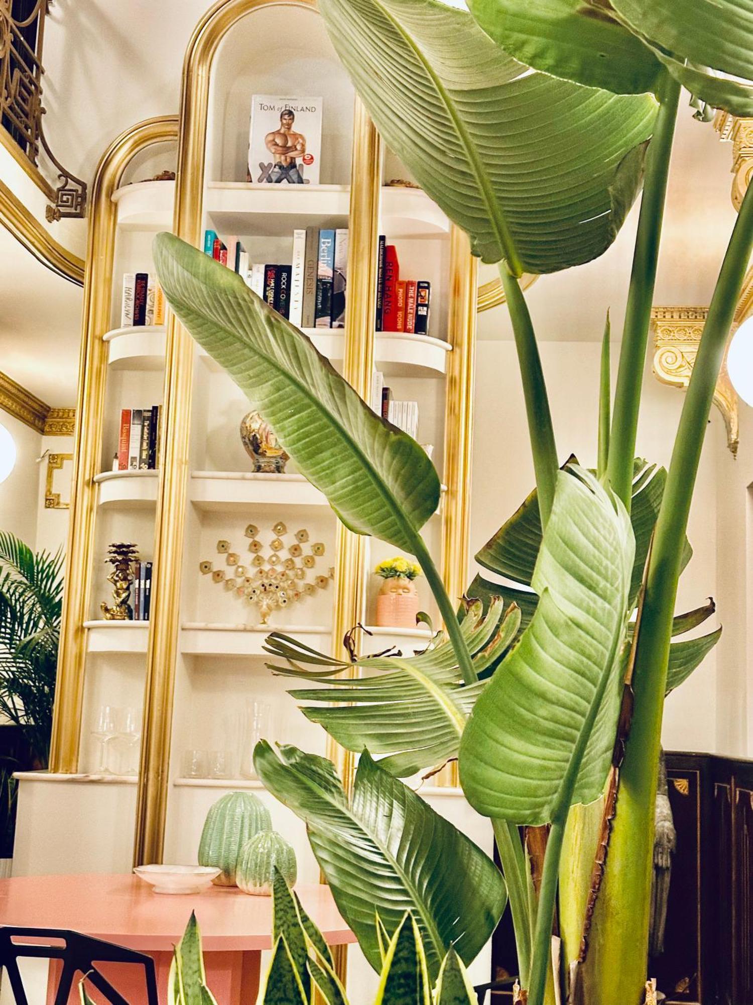 Deuxmecs (adults Only) Hotel