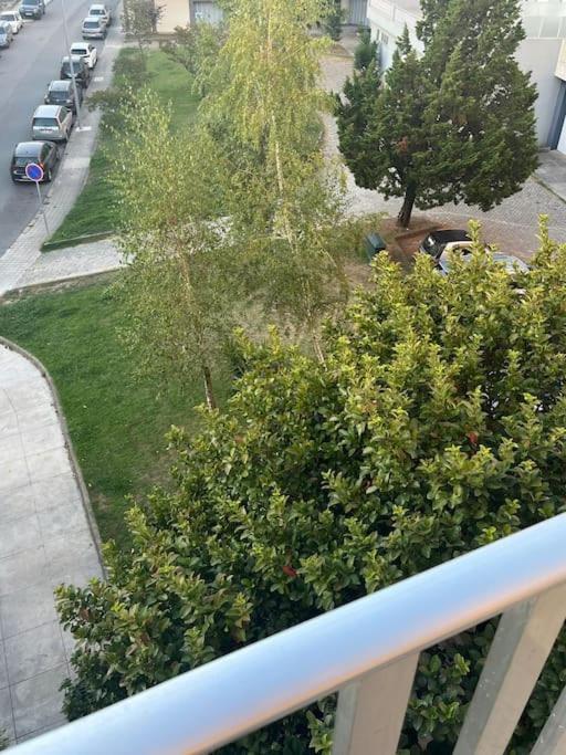 26/3 Casa Da Musica Apartment *