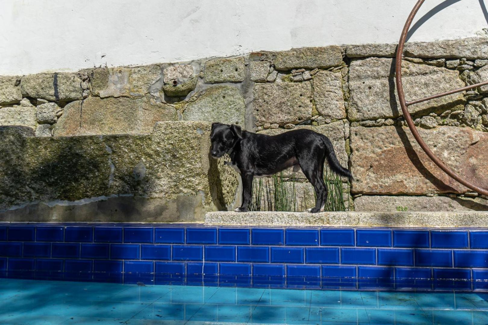 Guestready - Alegria