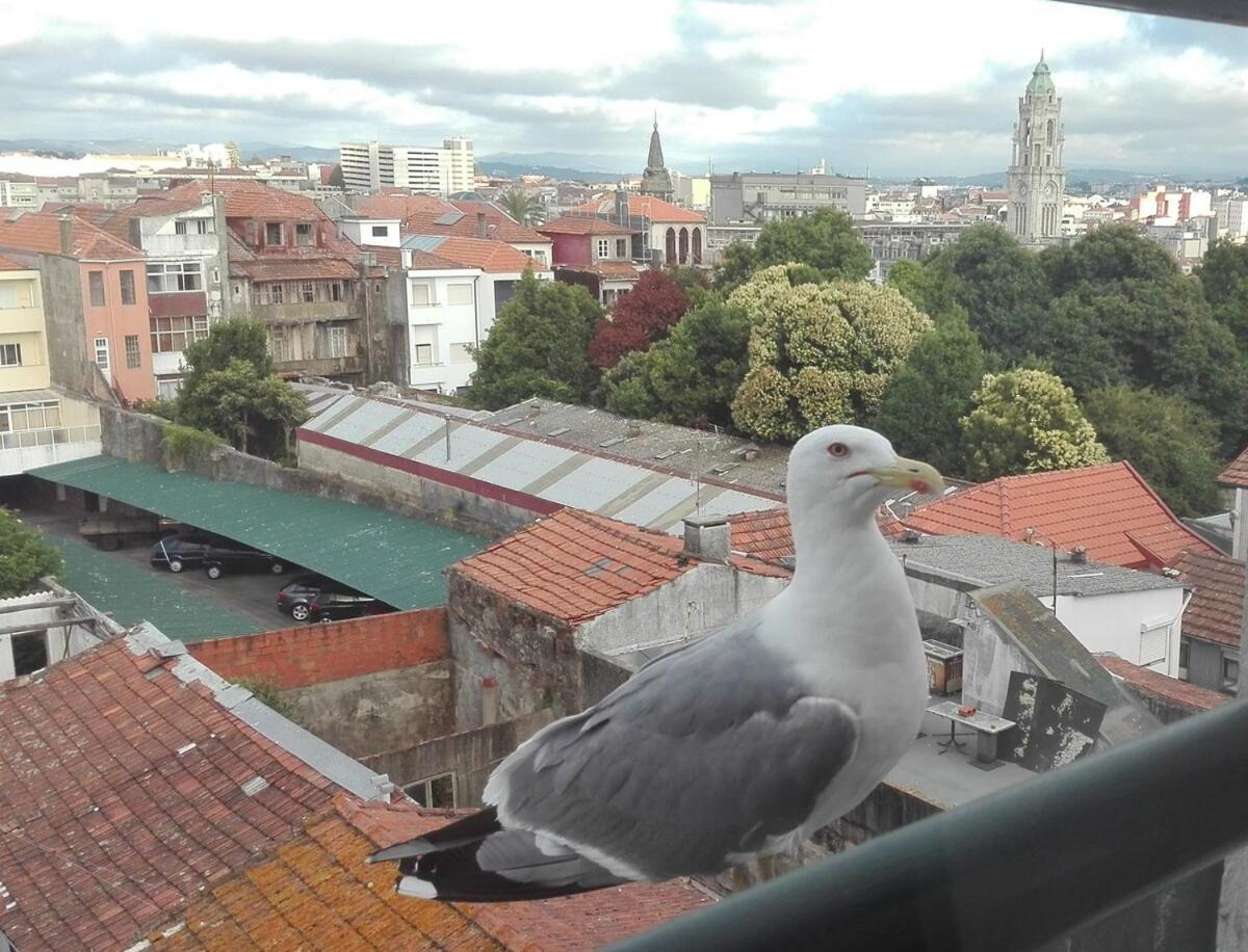 Apartment Seagull Rooftop Downtown - Light And Views *