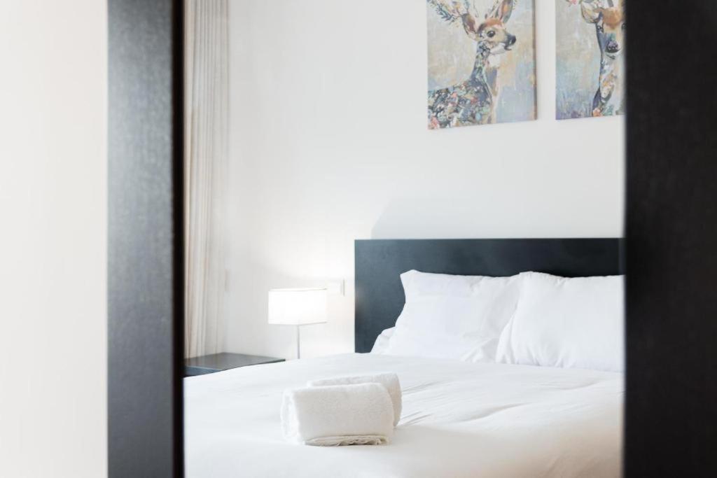 Appartement Boavista *