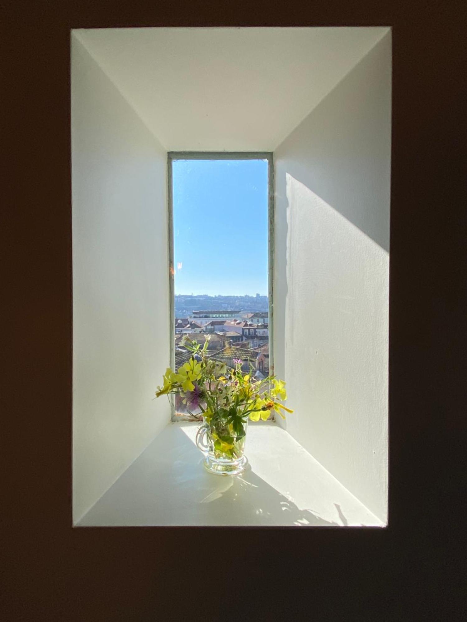 Get A Train And View Apartment Porto