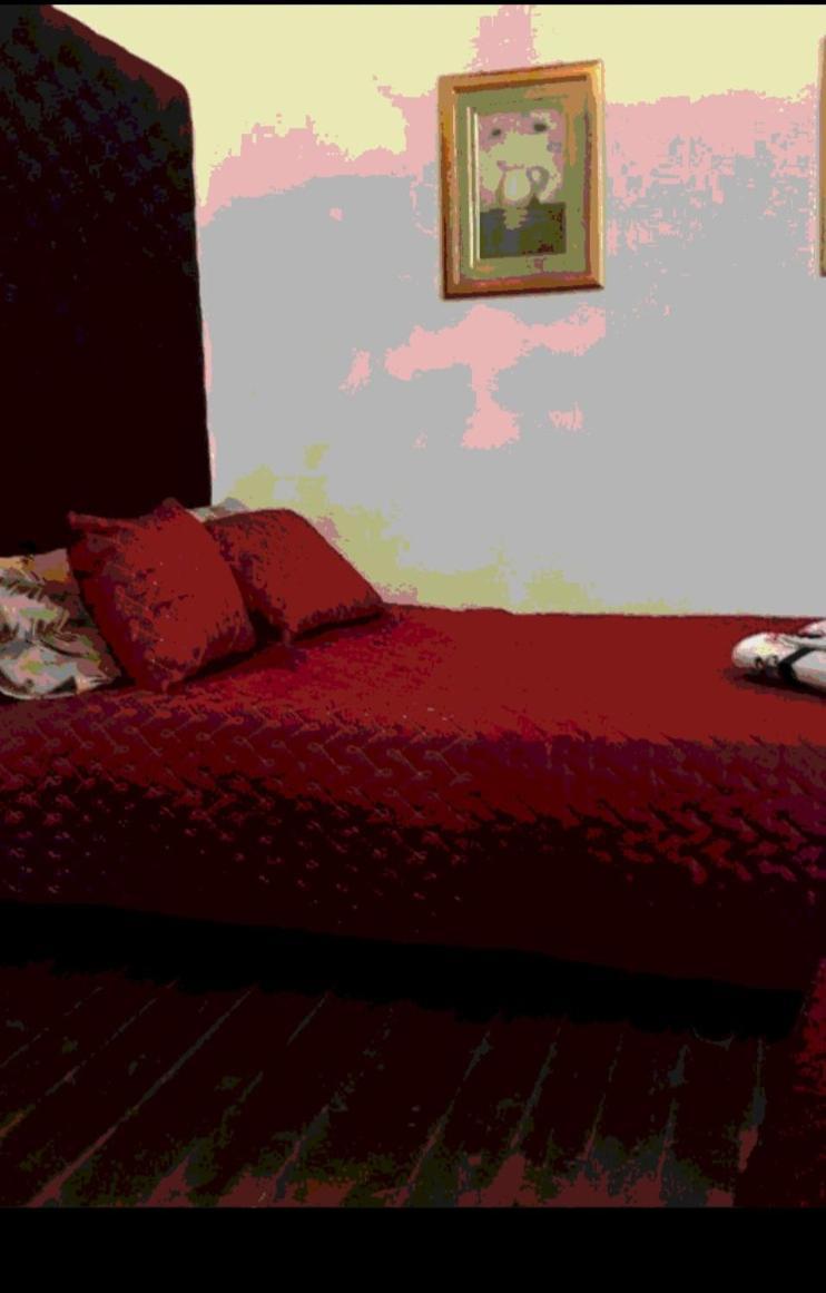 Bed & Breakfast Casa Dragao Porto