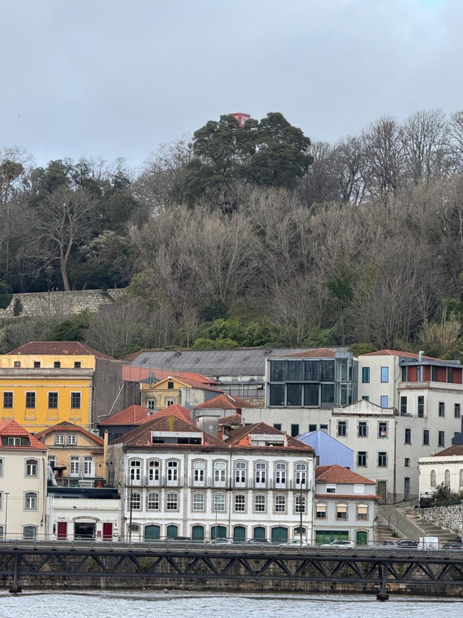 Amazing Premium Douro River Views Apartment *