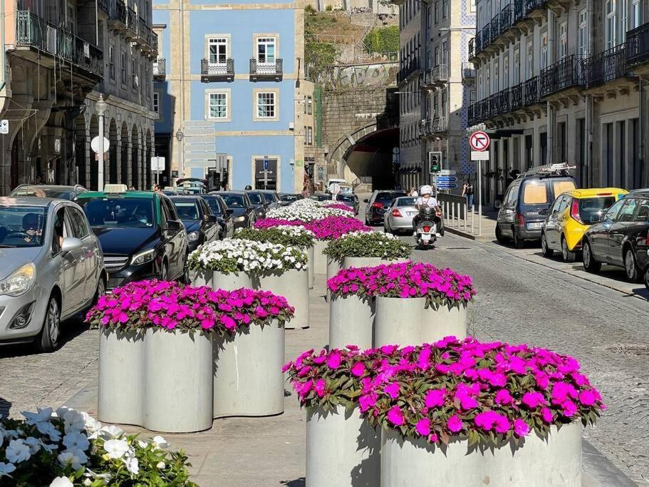 Design Award-winning In Ribeira