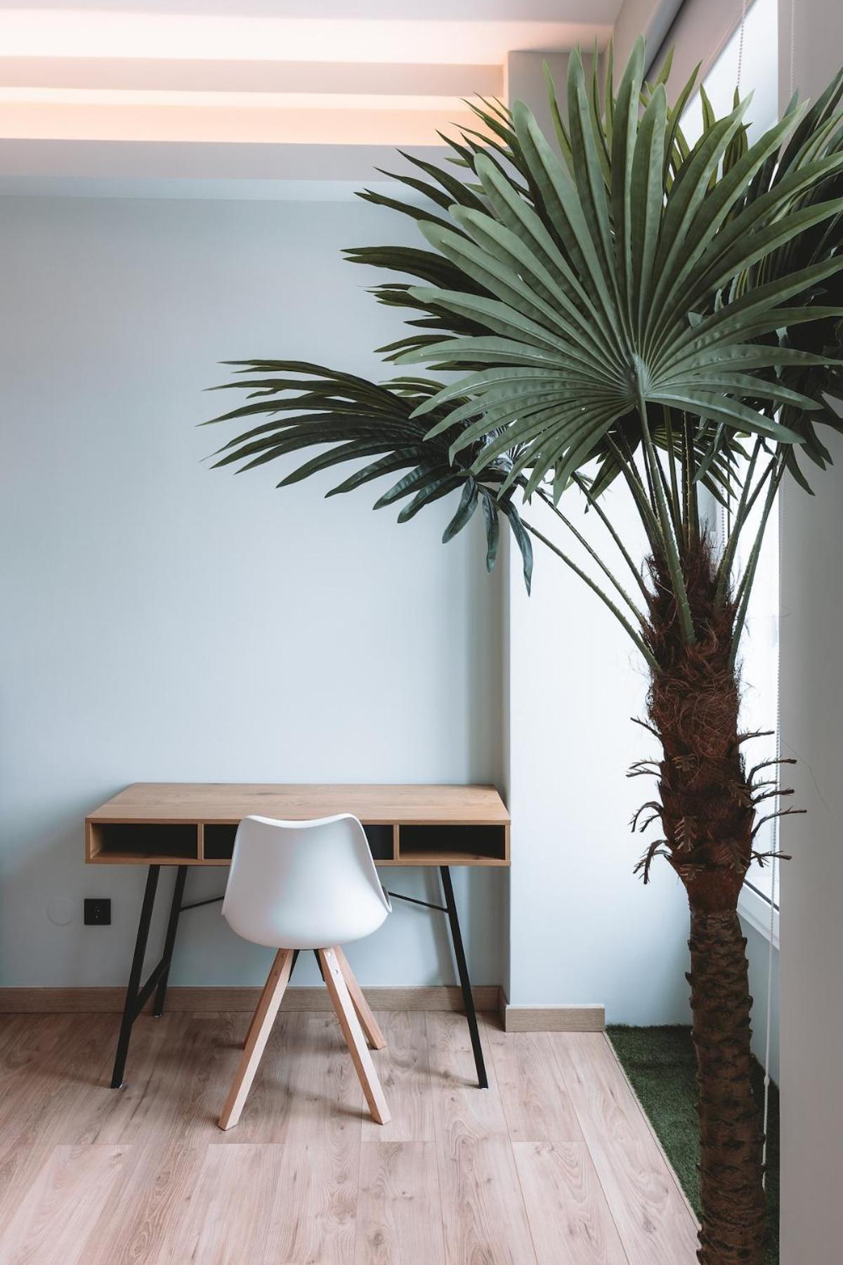 Apartment Batalha Charming Loft *
