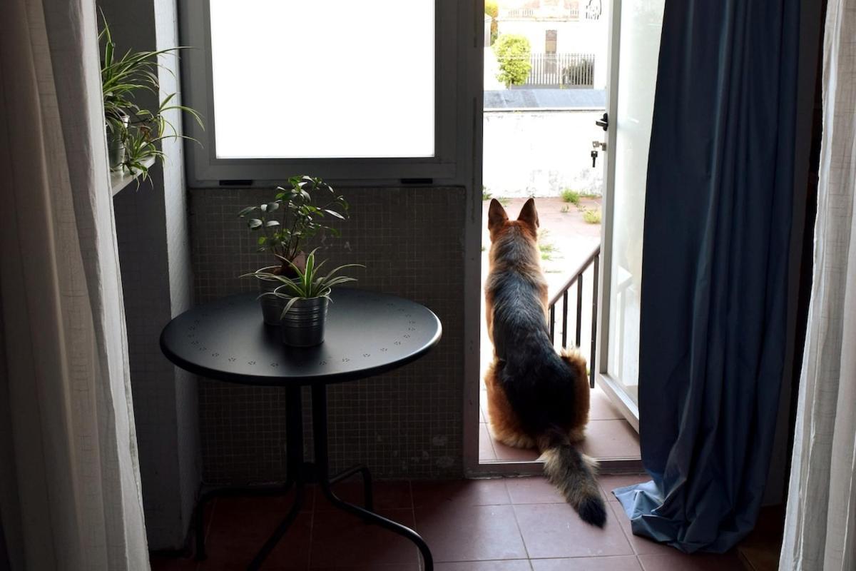 Apartamento Porto's Secret Backyard Porto