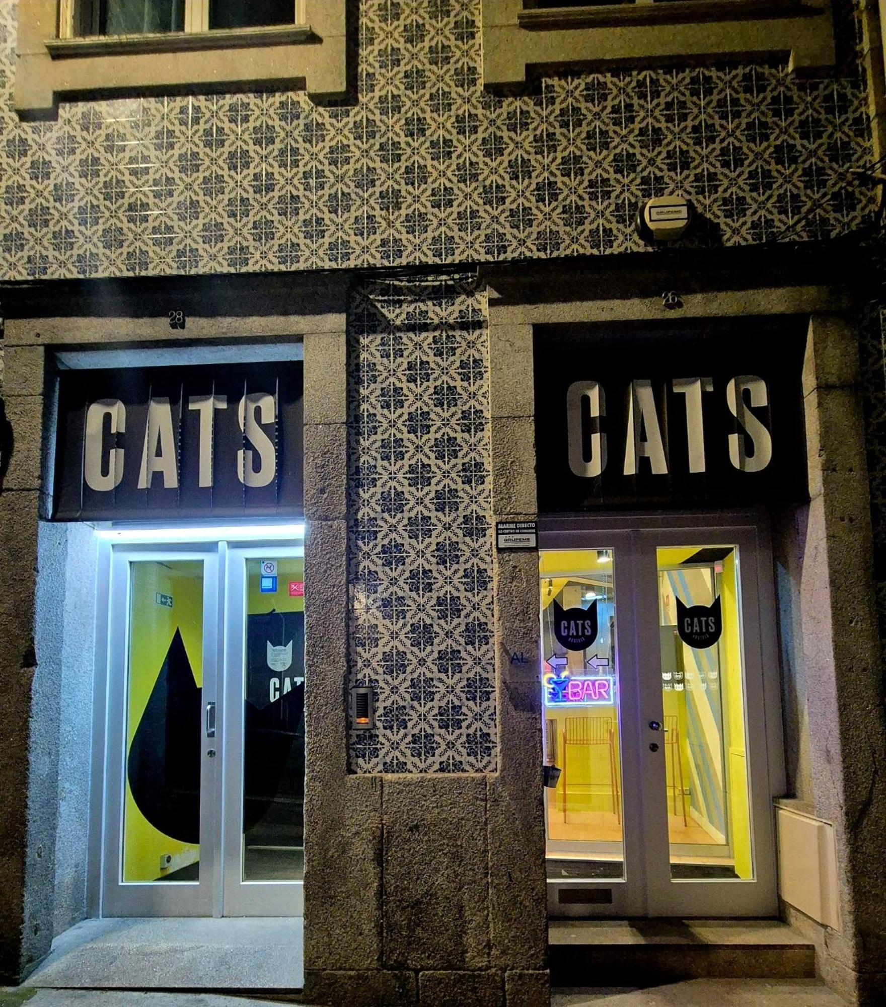 Cats Hostel *