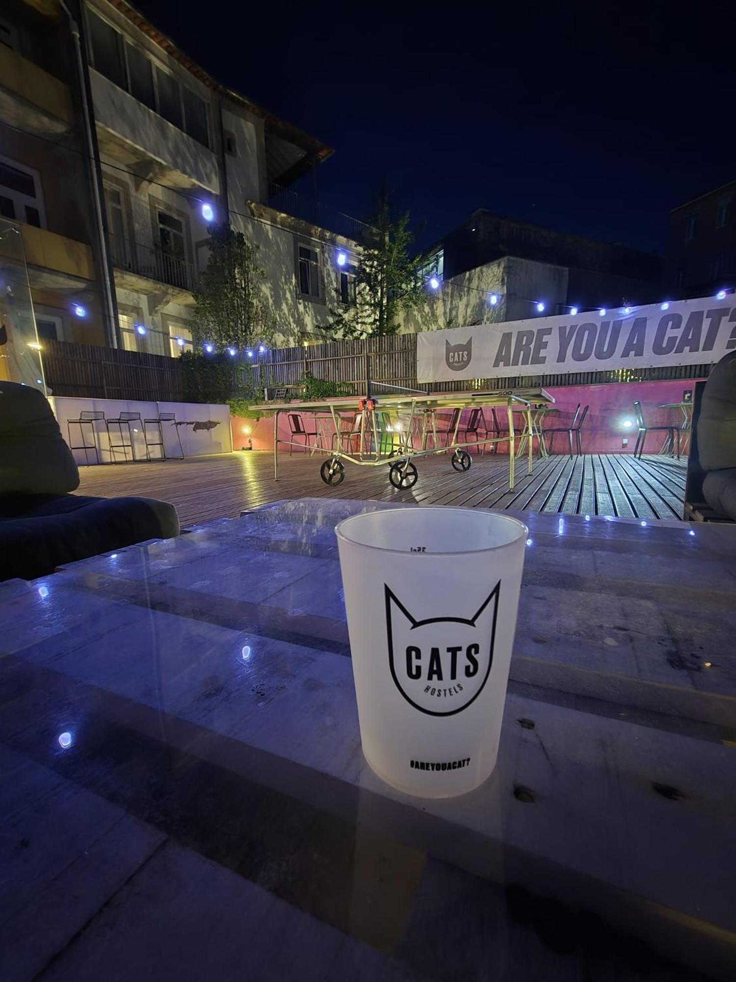 Cats * Porto