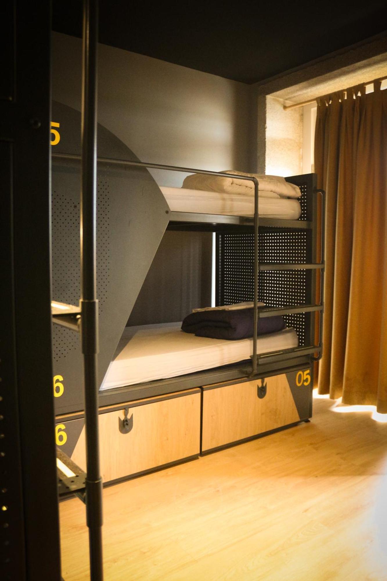 Cats Hostel