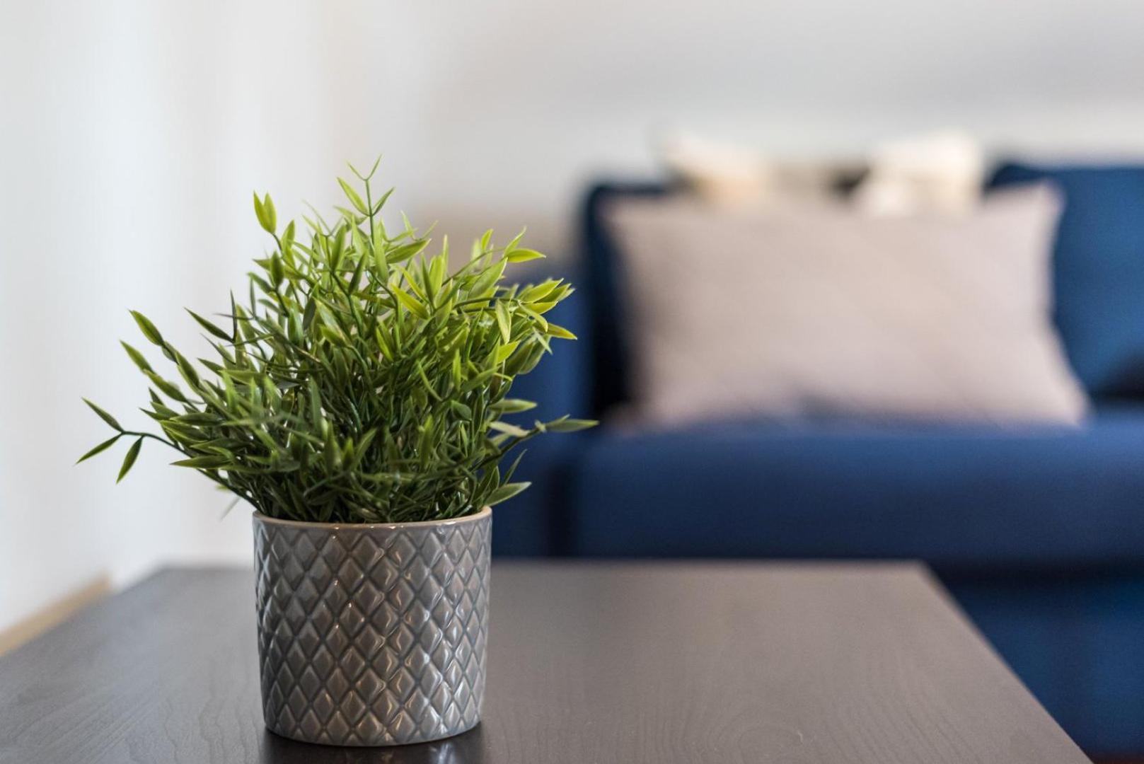 Guestready - Miragaia Rooftop * Porto