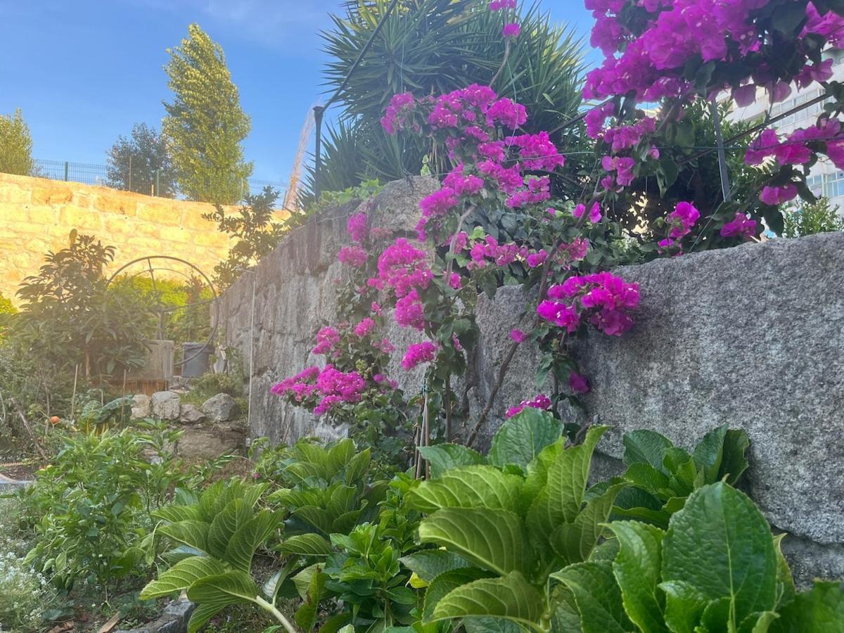 Hidden Gem Near Center- Garden, Outdoor Kitchen, Sauna Villa *