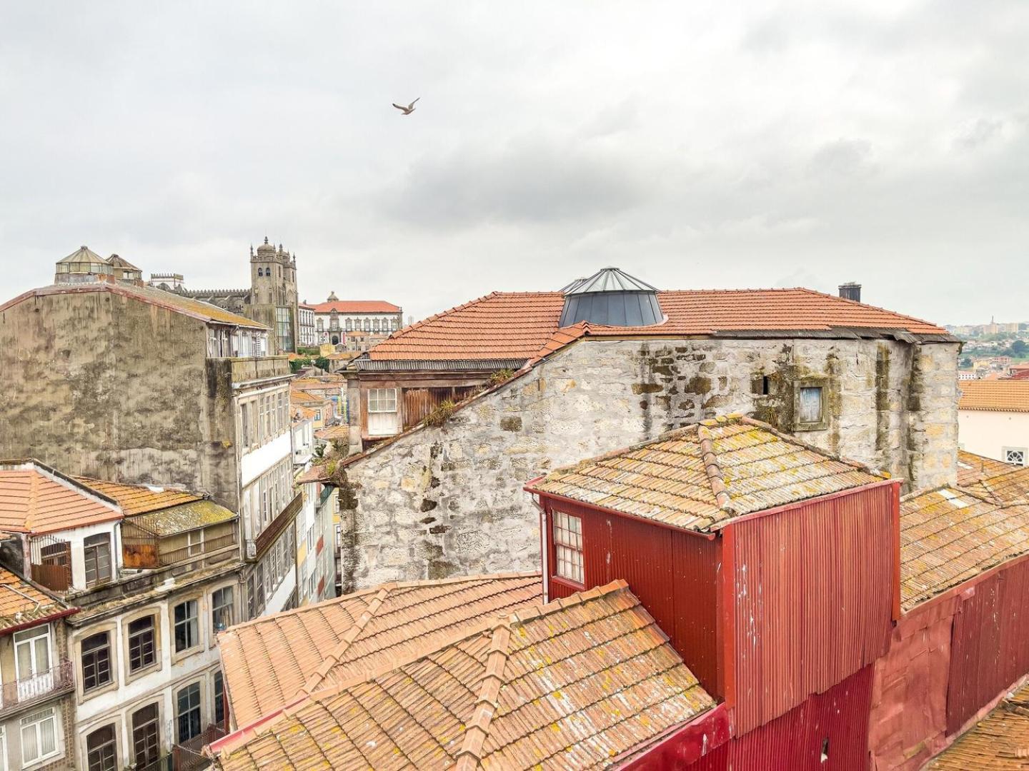 Full Of Light And Color At The Spot In Town Porto