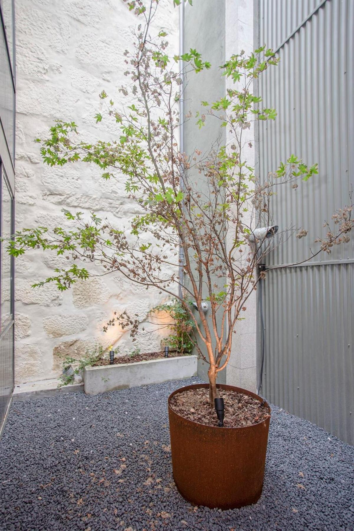 Appartement Liiiving In - Bolhao Trendy Porto
