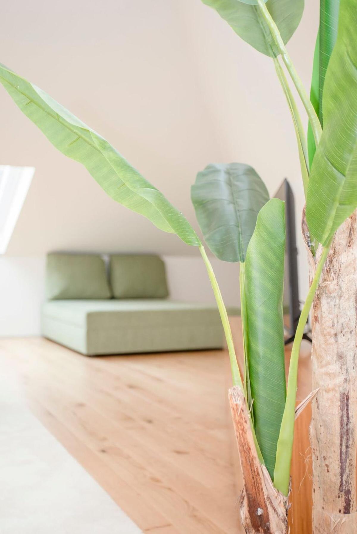 Apartamento Liiiving In - Cedofeita Terrace