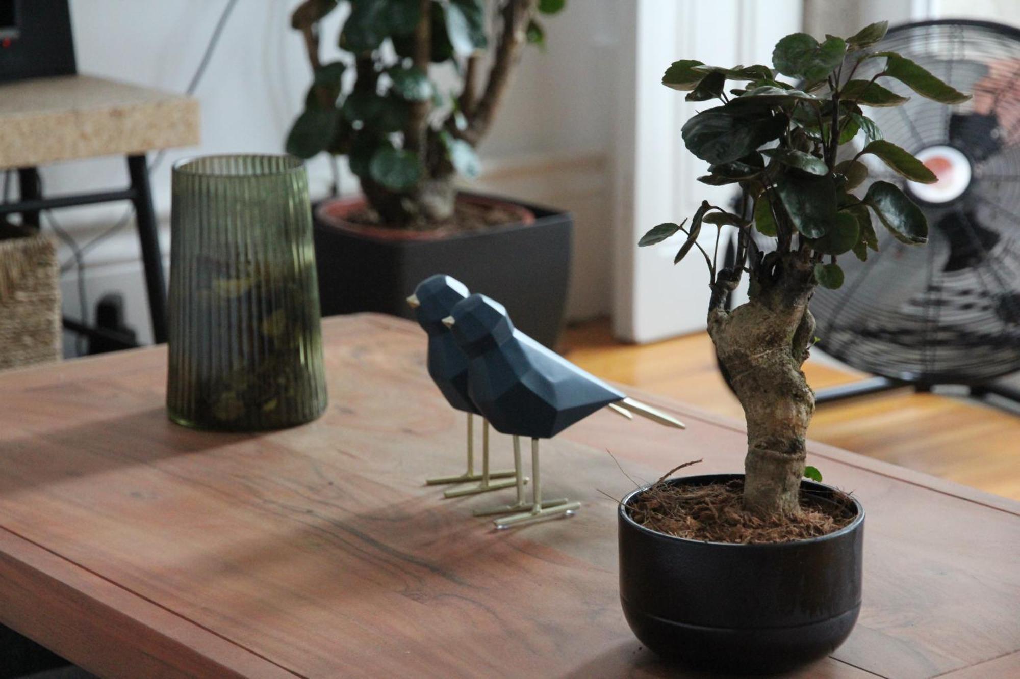 Downtown Urban Nest Apartment Porto