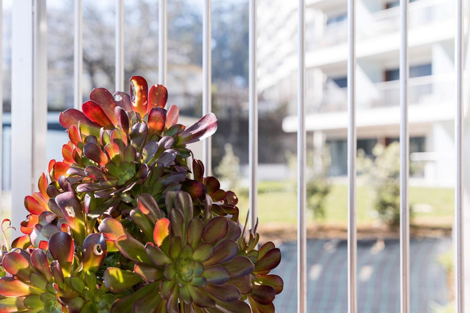 Guestready - Ideal Near Estadio Do Dragao