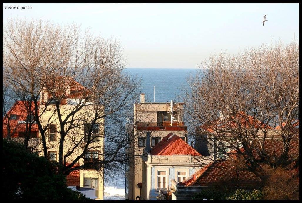 Apartment Enjoy A Beautiful Sunset In *