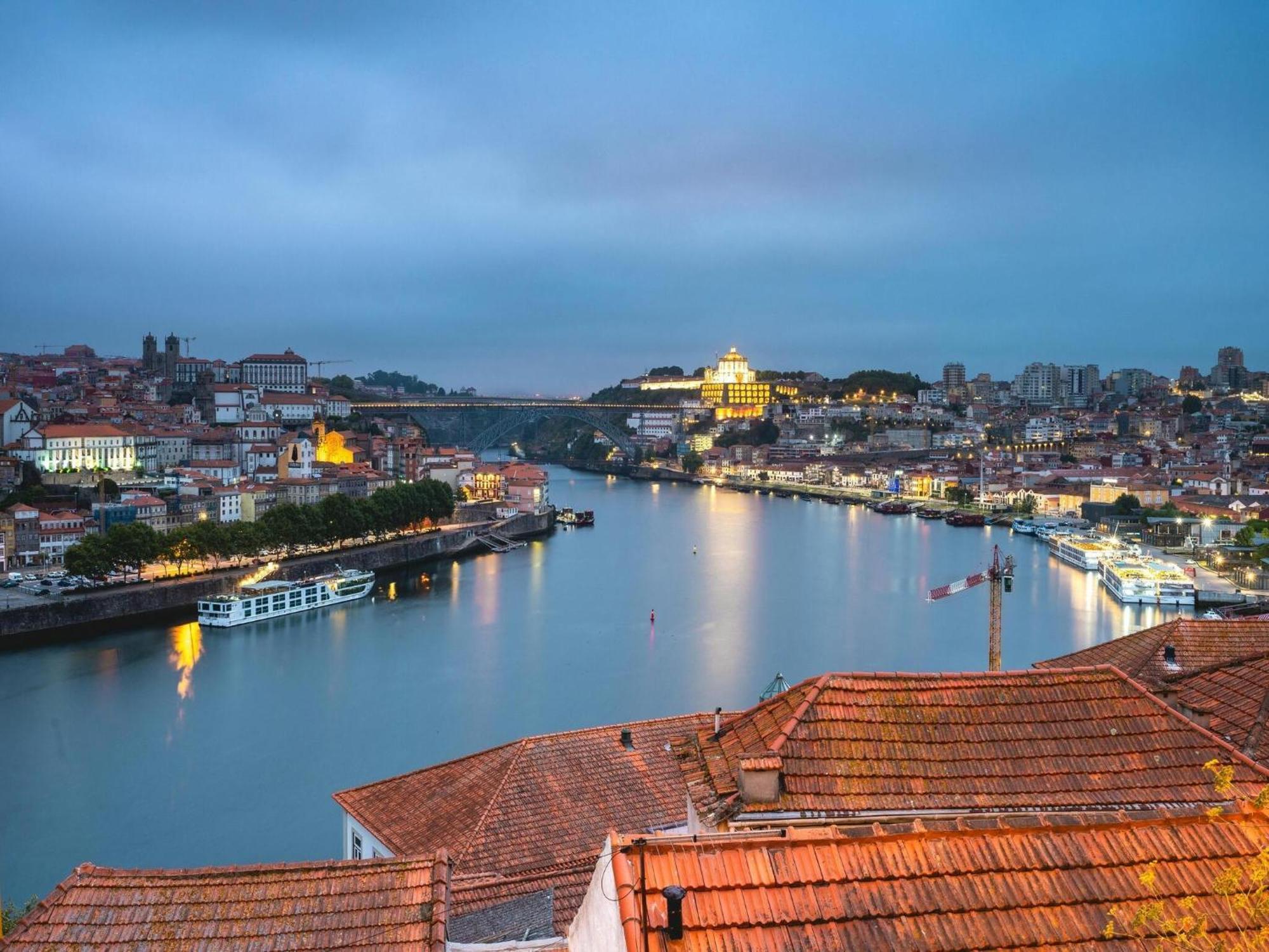 Apartment Cozy Pet-friendly Porto