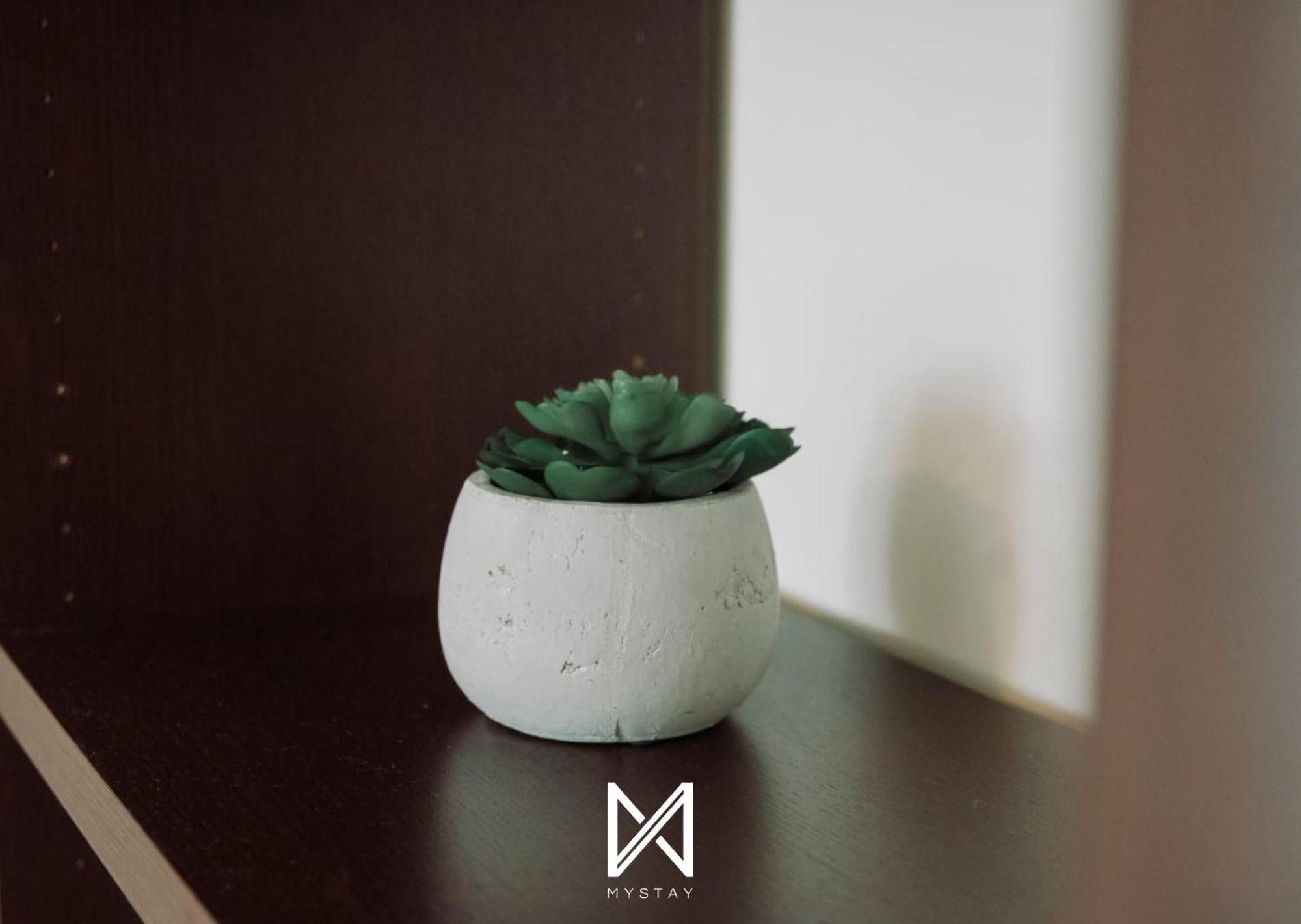 Mystay - D Joao Iv