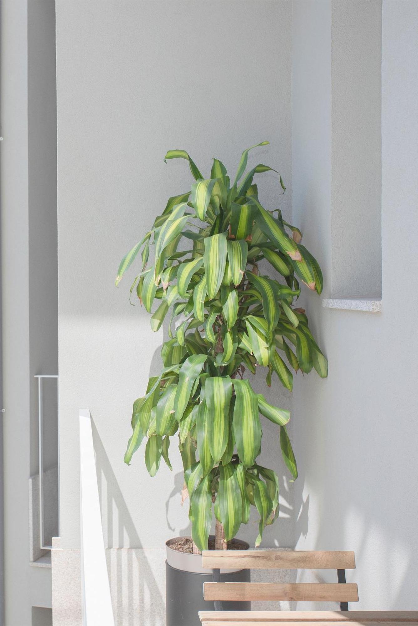 Liiiving In - Art Design Apartment Porto