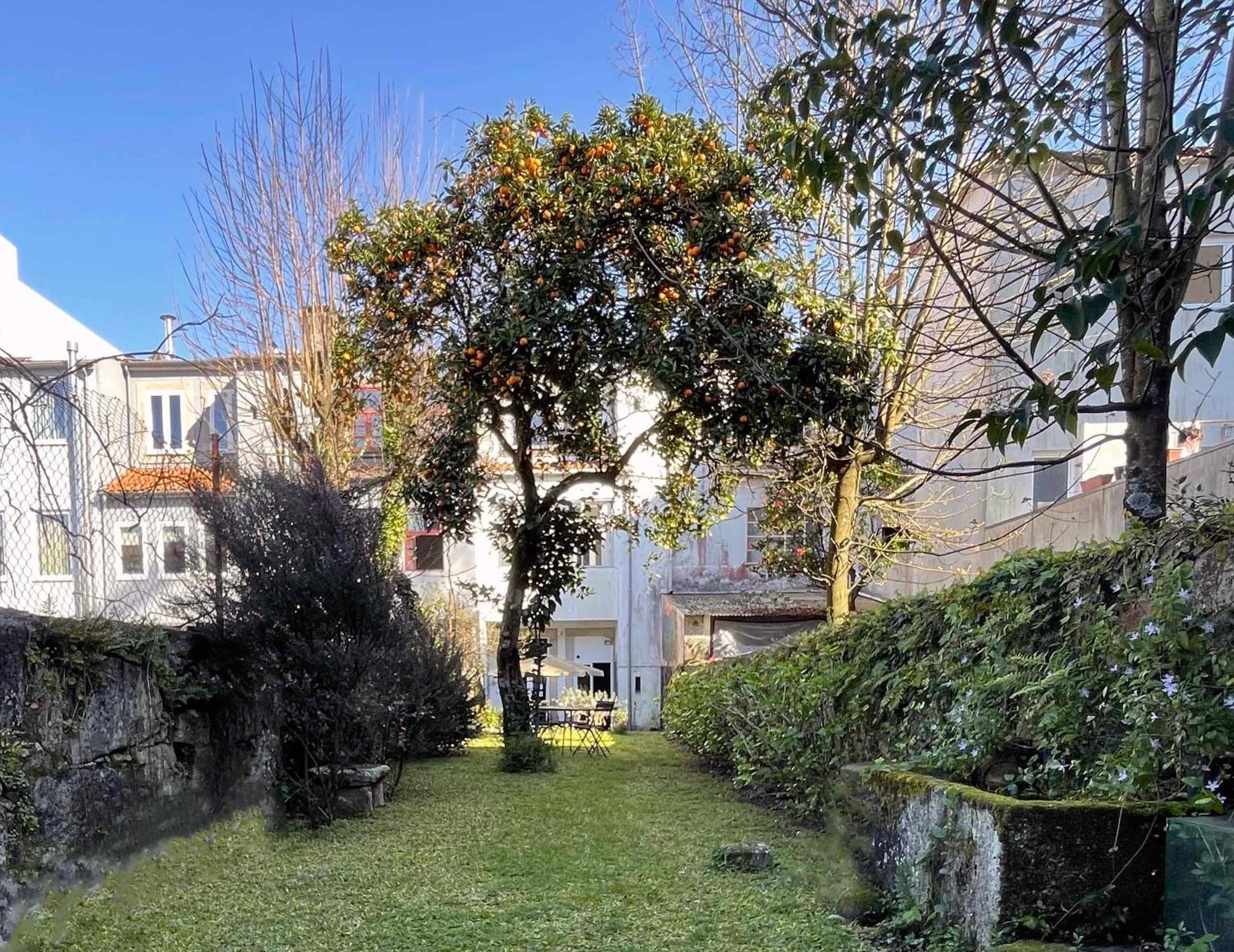 Hostel Alegria