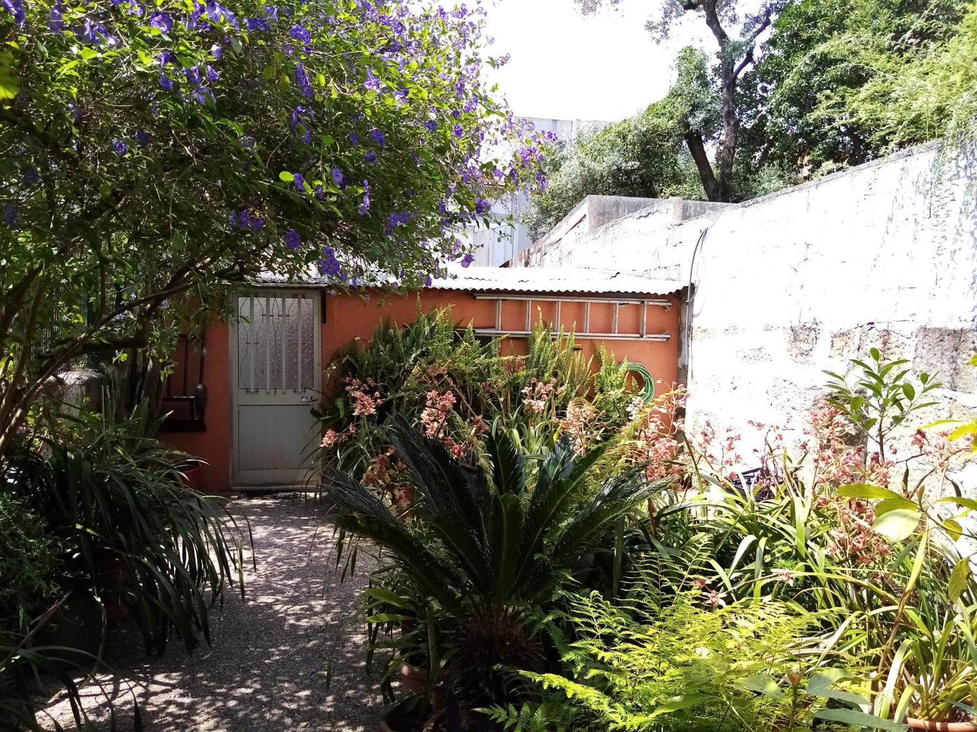 Metro Casa Musica Apartments And Rooms Apartment *