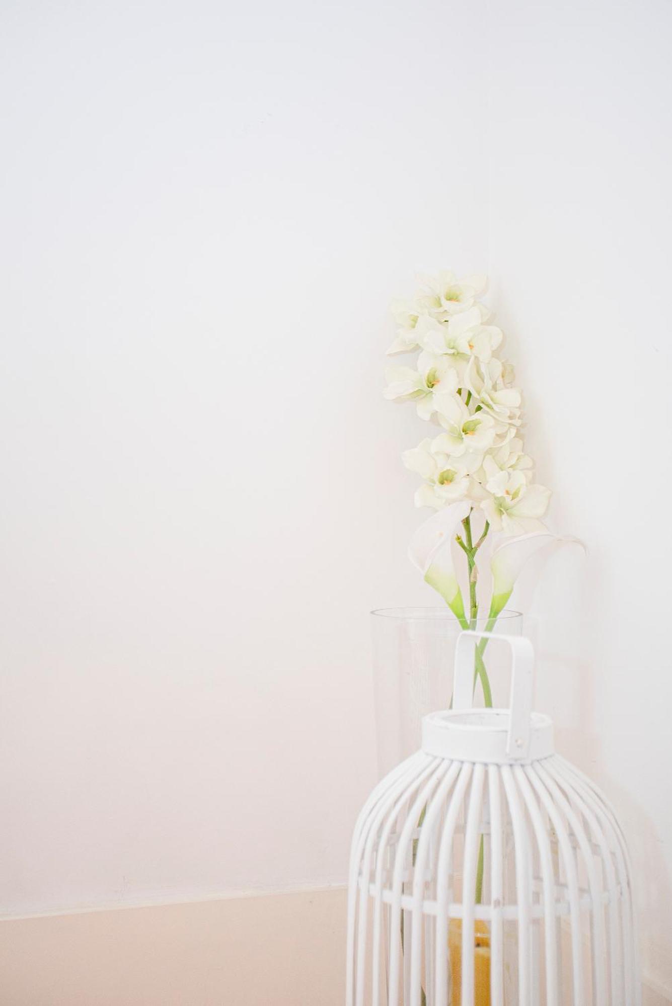 Liiiving In - Garden Light Mezzanine *