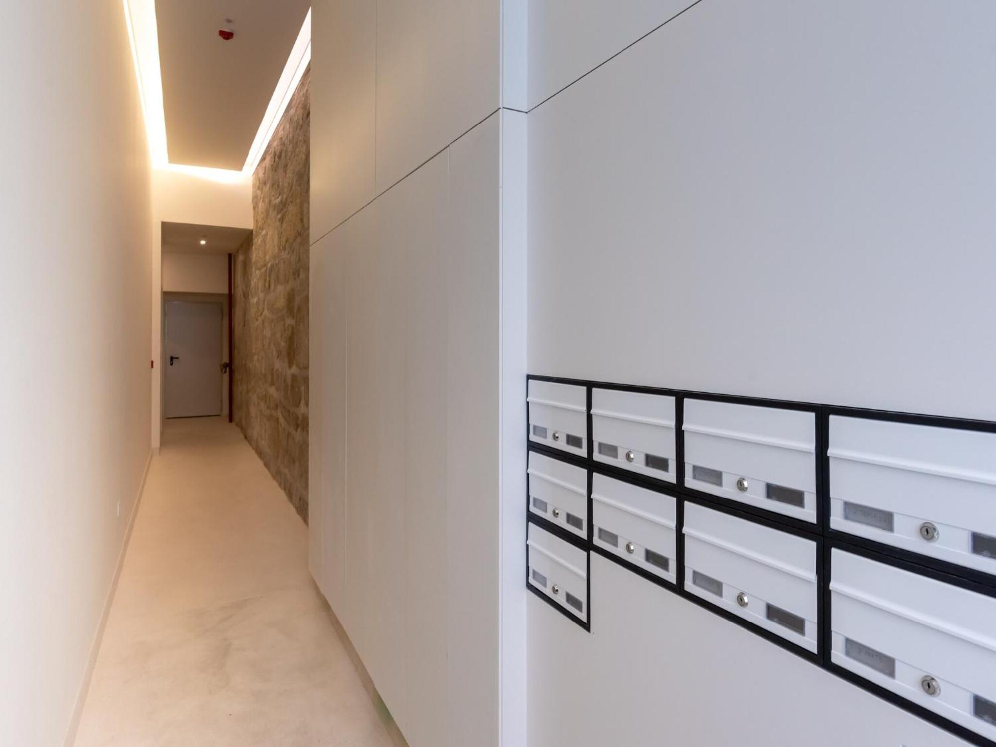 Pet-friendly In Apartment