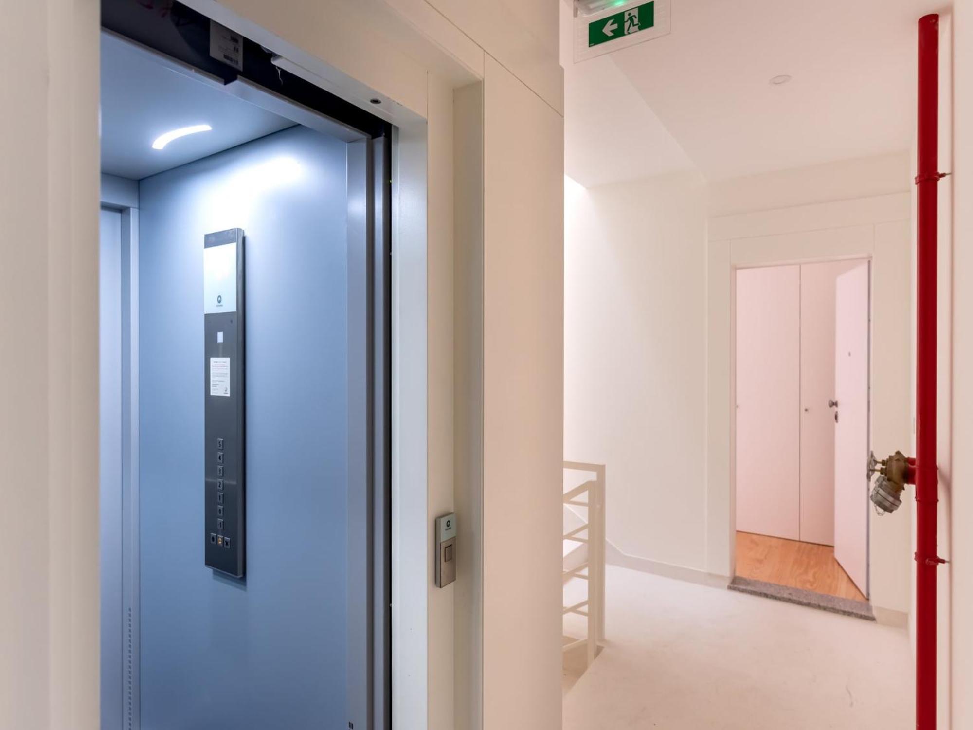 Pet-friendly In *