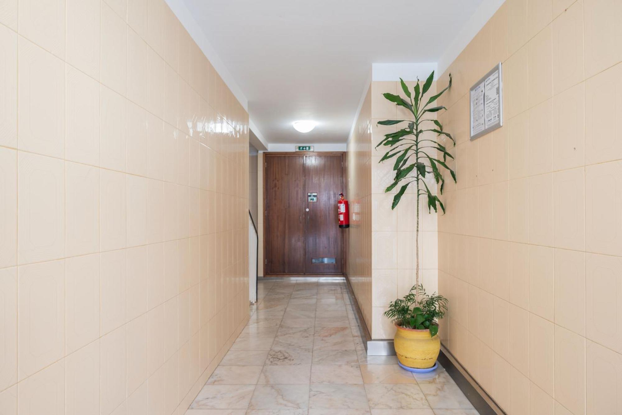 Apartment Refugio No Porto
