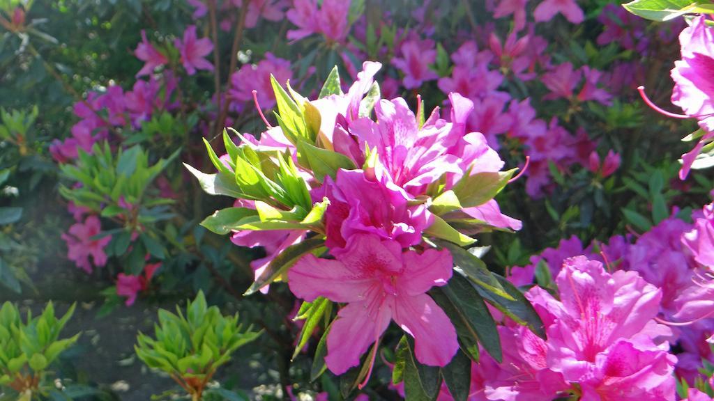 Holiday home Casa Da Quinta Porto