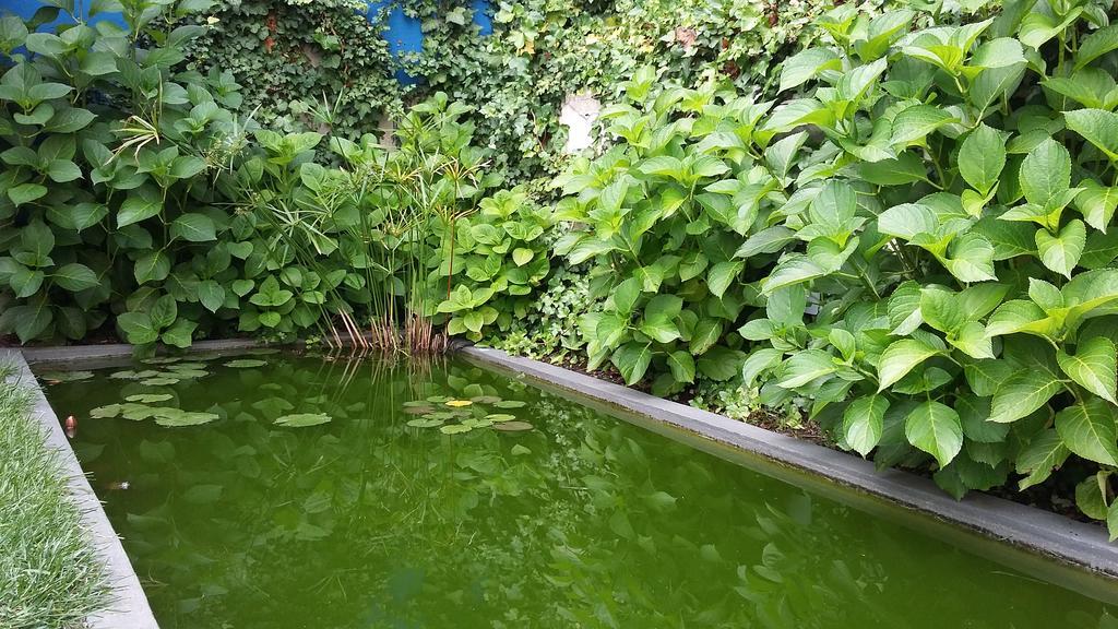 Garden House Porto