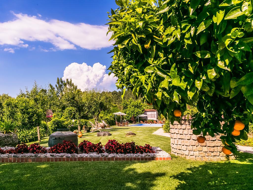 Casa de Campo Casa Da Pedra *
