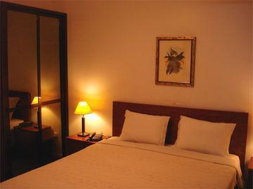 Vera Cruz Downtown Hotel