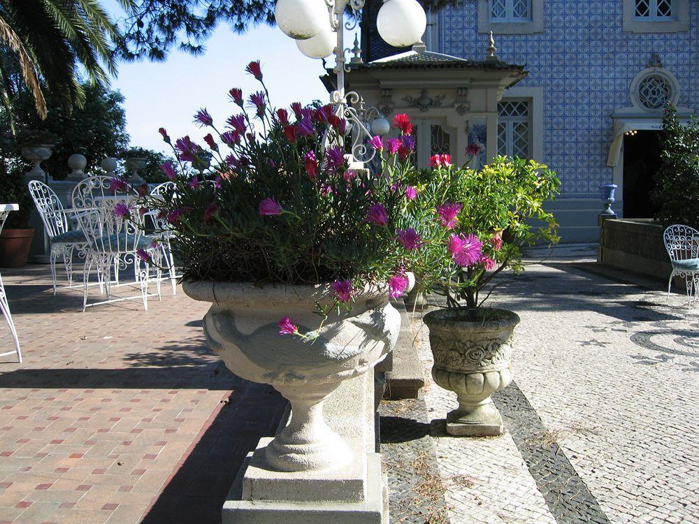 Casa de hóspedes Castelo Santa Catarina Porto