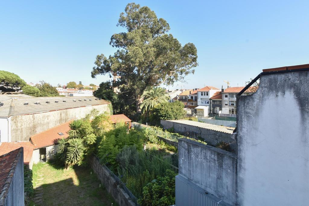 Live & Douro - Rosario Porto