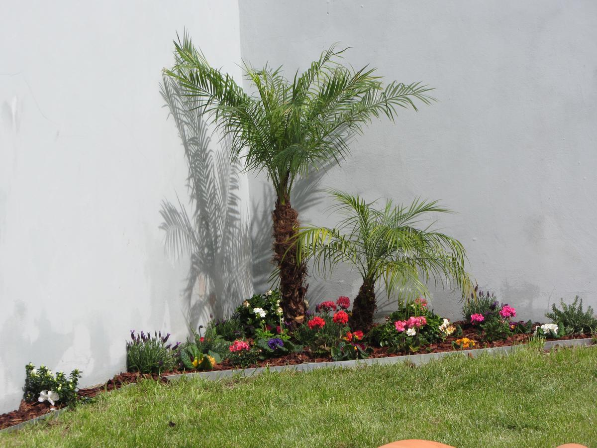 Oporto Comfort Charming Cedofeita Bed & Breakfast 2*