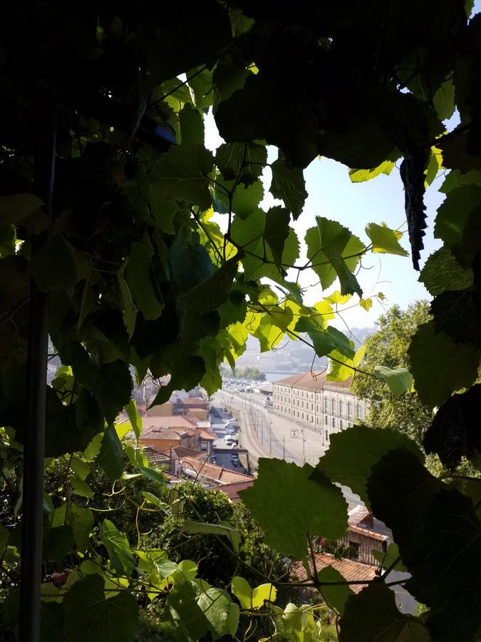 Private 2* Porto