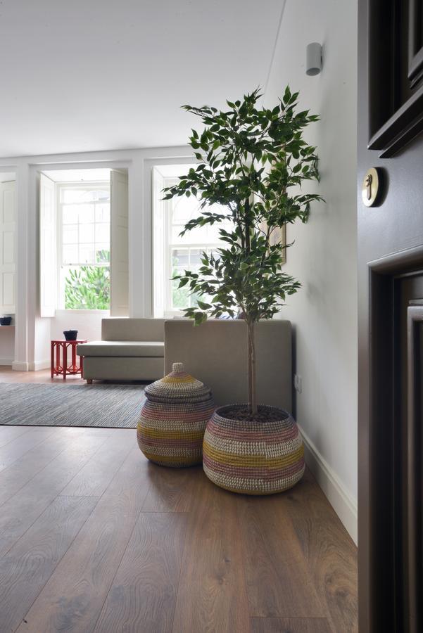 Spot Casa Januario *