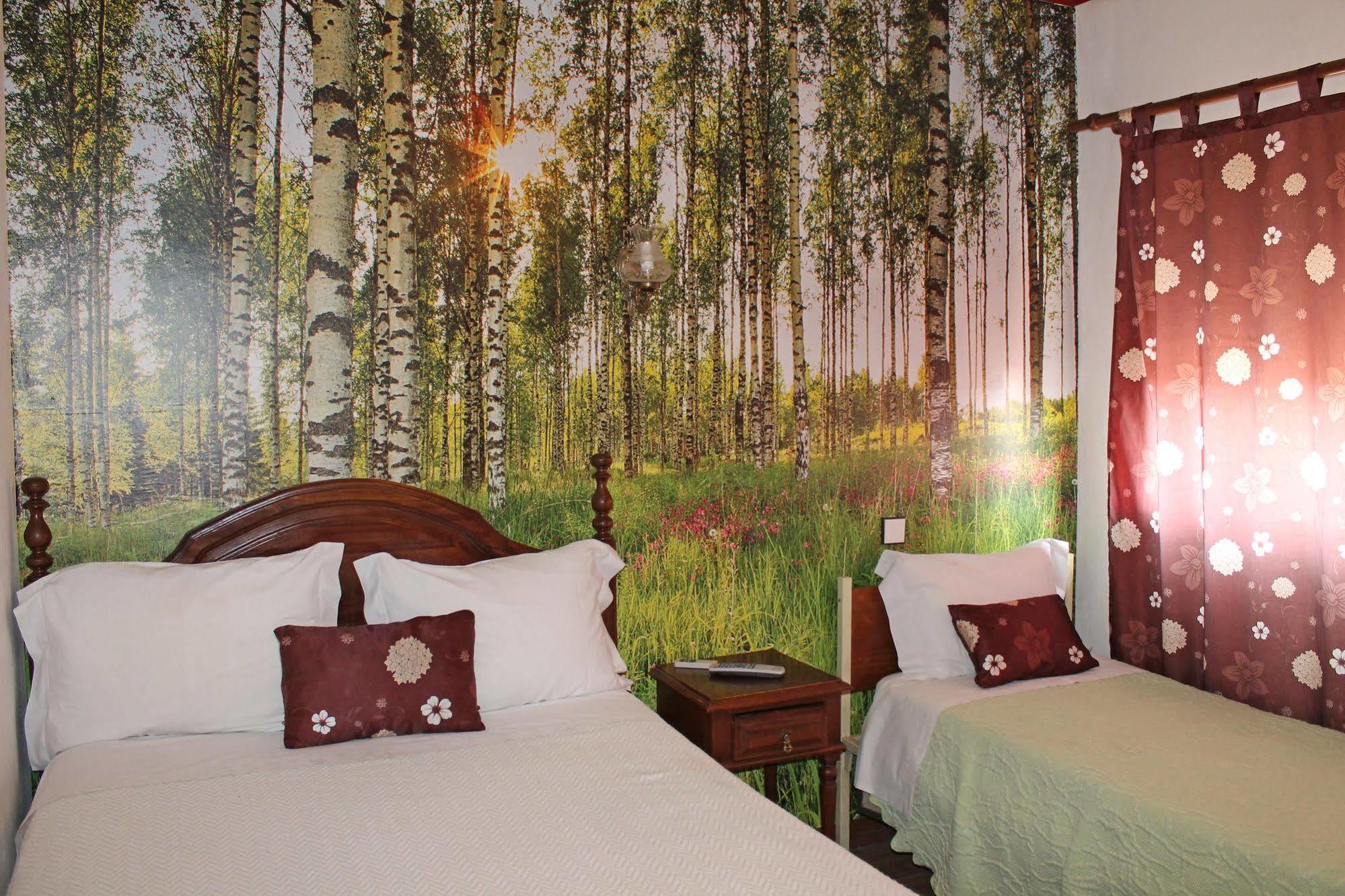 Franca Guest house Porto