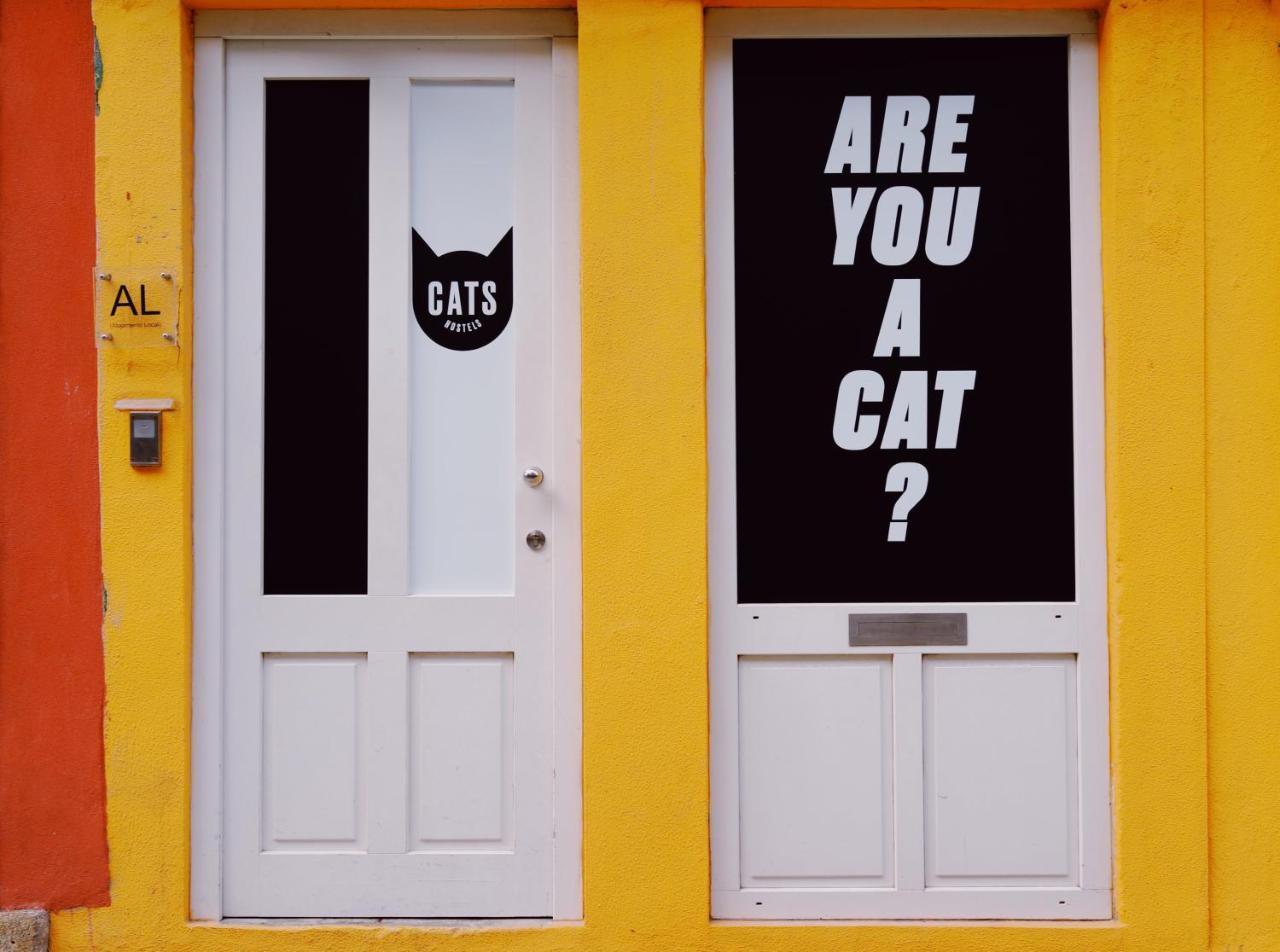 Cats